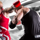 Illustration for article titled Professional Boxing Gloves